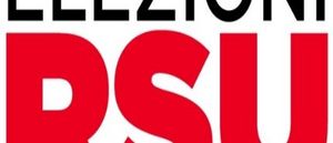 elezioni rsu